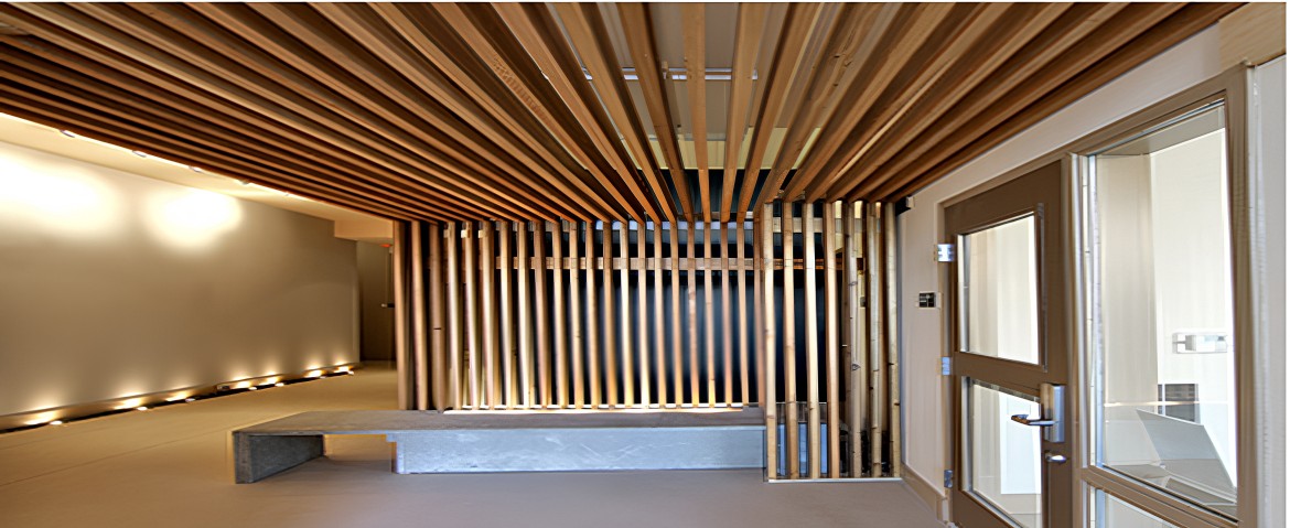 WPC Plafondpanelen
 (90 x 2900 x 50mm)